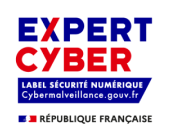 AZNETWORK - Logo Expert Cyber